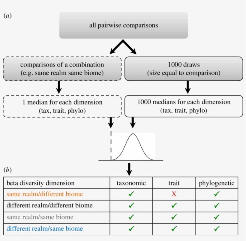 Randomization Test To Compare Beta Diversity Of Each - Diagram, transparent png #8468805