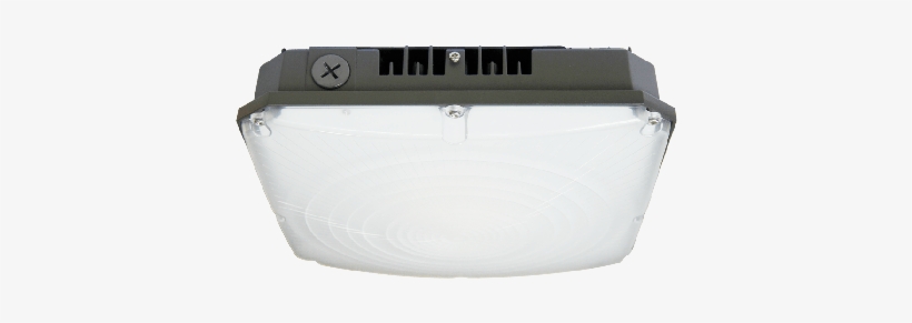 More Views - Dinghy, transparent png #8469796