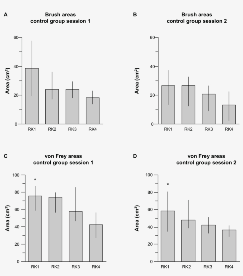 Brush And Von Frey Areas - Diagram, transparent png #8470060