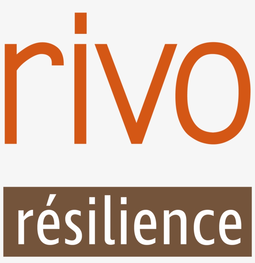 Orange, transparent png #8470711