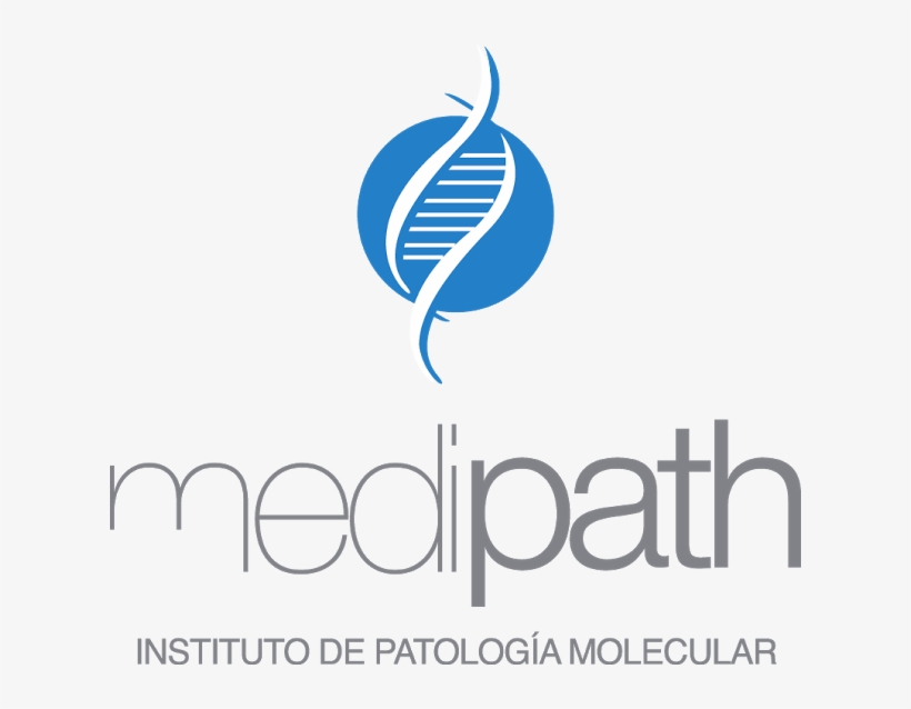 El Campo De Usuario Es Requerido No Puede Estar Vaciothe - Caja Mackinder, transparent png #8472918