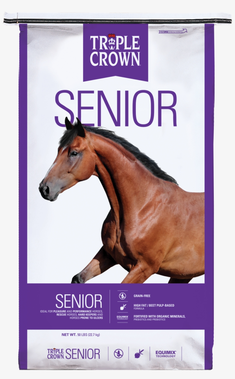 Tcnbag-senior, transparent png #8473018