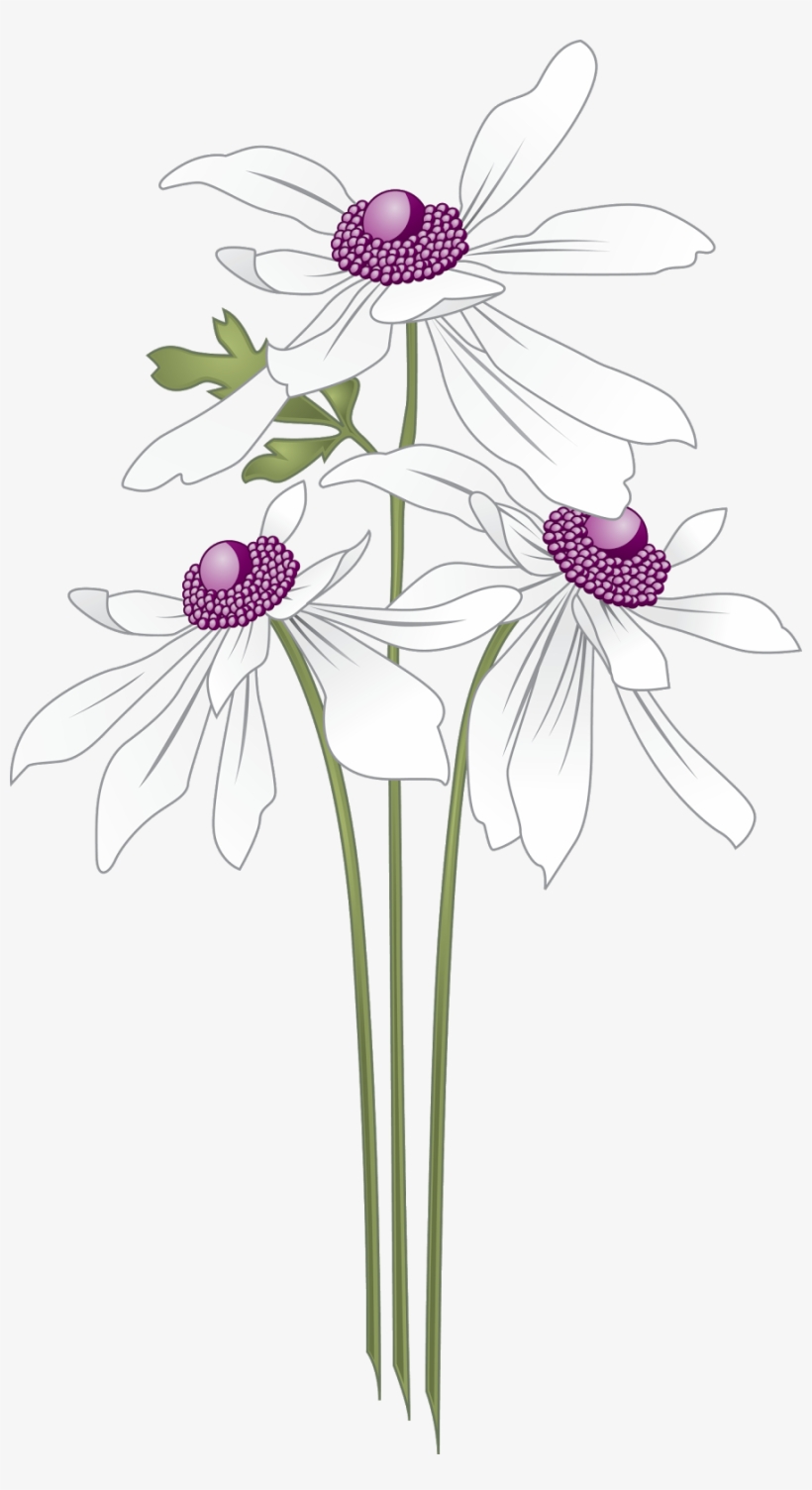 Http - //syedimranrocks - Blogspot - In/ Toolbar Creator - 花边 素材, transparent png #8473119