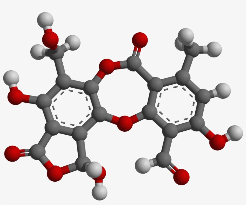 File - Salazinic Acid - 3d - Ball And Stick Model - P Xylene Molecule, transparent png #8473336