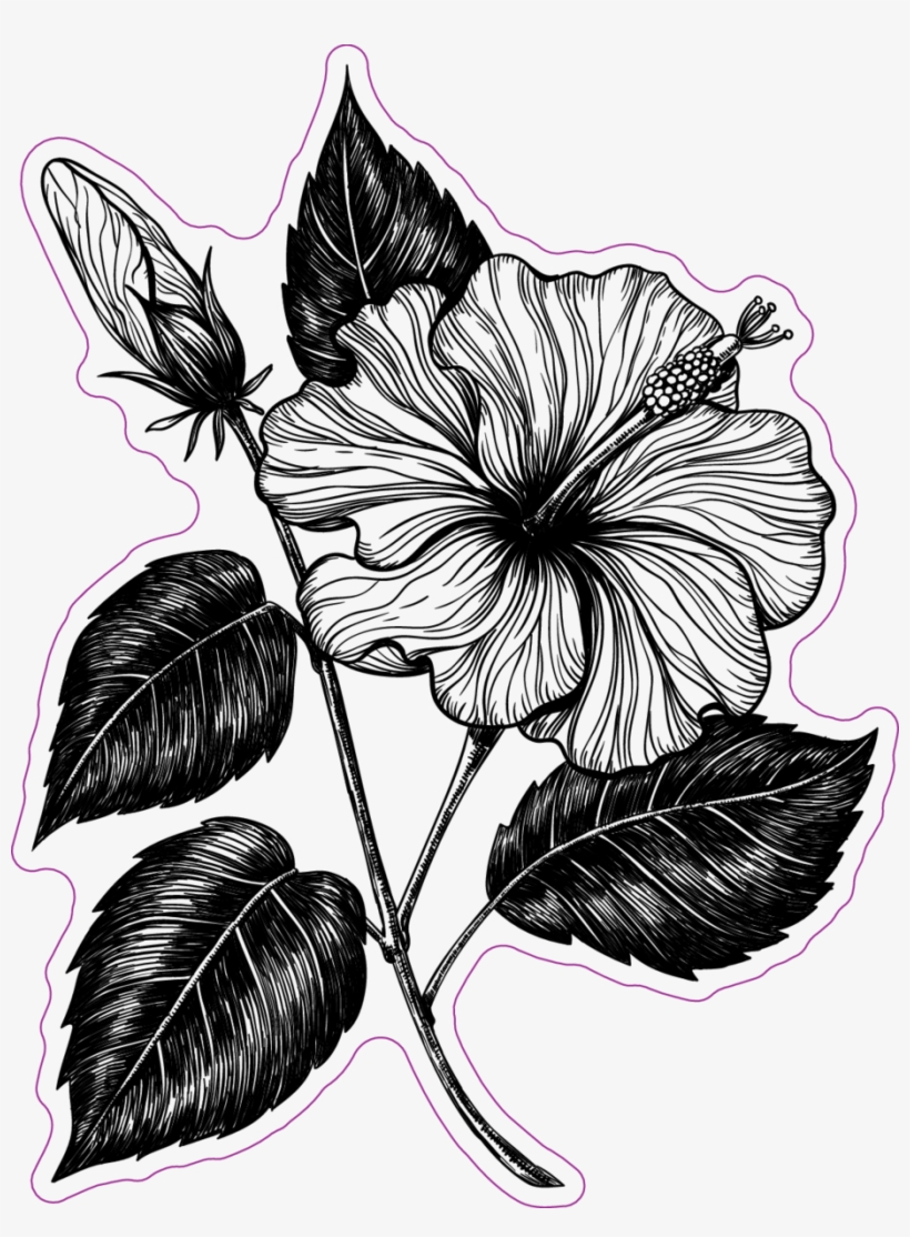 Hawaiian Flower Car Window Decals Stickers Png Hawaiian - Flower Drawing Ipad, transparent png #8473415