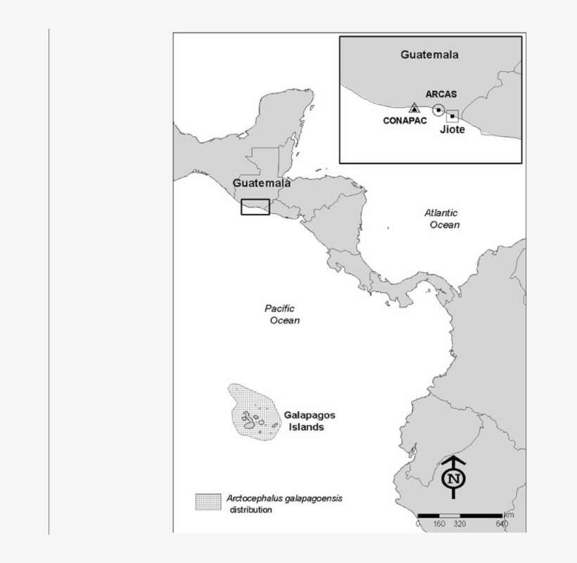 Location Of The Stranding Site, Rehabilitation Center - Atlas, transparent png #8474690