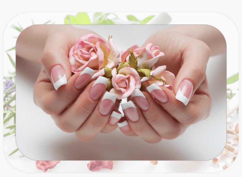 Acrylic Nails - Nail Salon - > - French Manicure Stock, transparent png #8475461