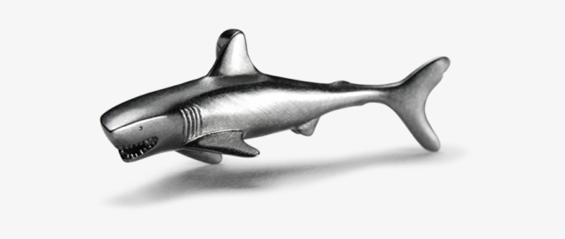 Bronze Hammerhead Shark, transparent png #8476014