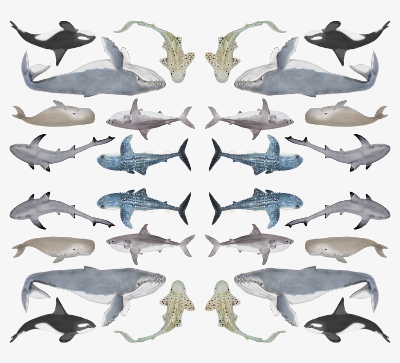 Great White Shark, transparent png #8476847