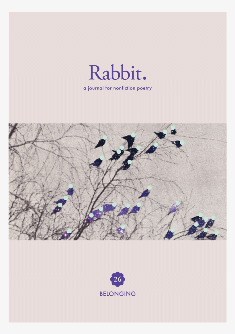 Rabbit - Japanese Camellia, transparent png #8476954