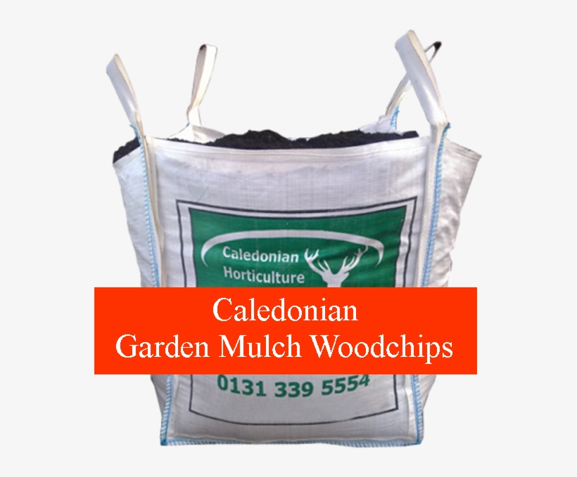 Bag, transparent png #8477360