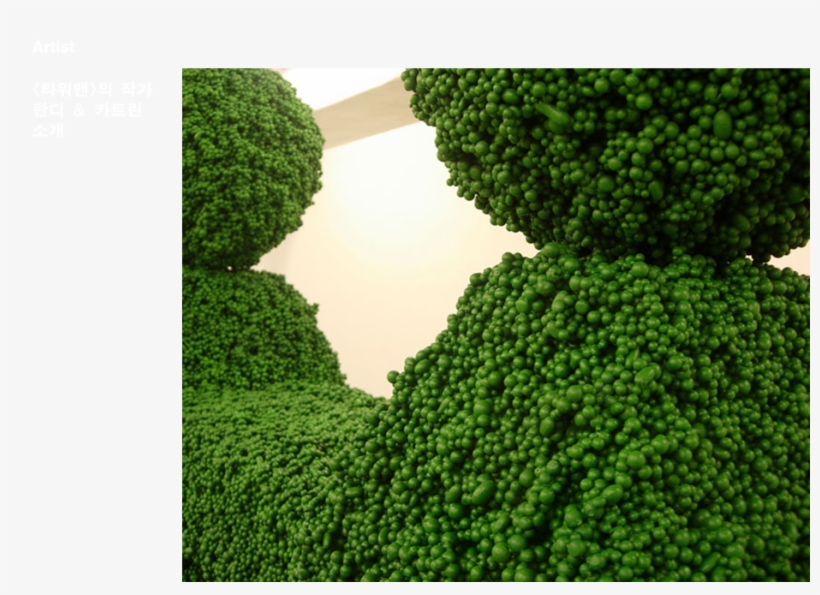 Hedge, transparent png #8477476
