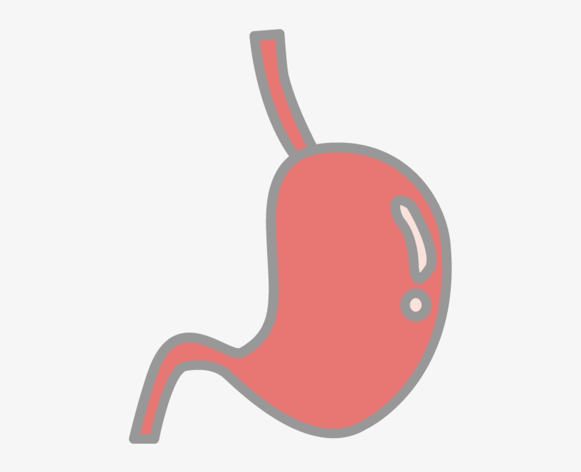 Stomach Free Icon Clip Art Illustration Material - Illustration, transparent png #8477674