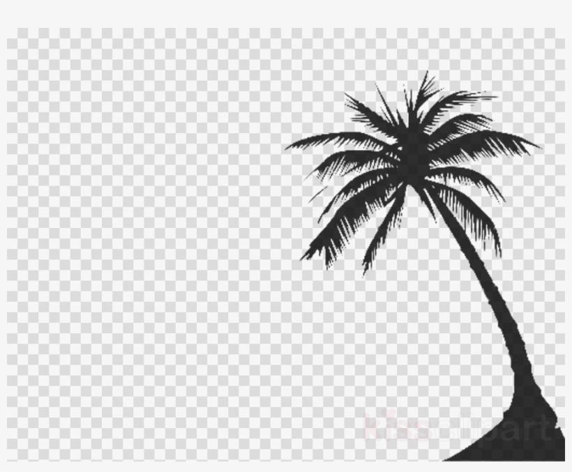 Transparent Palm Tree - Call Of Duty Black Ops 4 Characters Png, transparent png #8477871