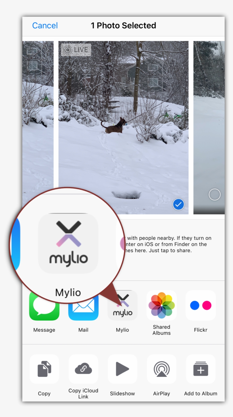 Snow, transparent png #8484619