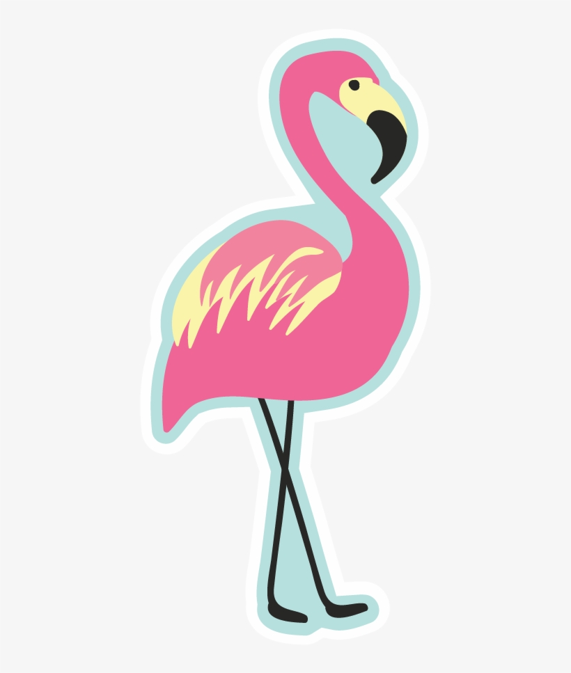 Acr138 - Greater Flamingo, transparent png #8485262
