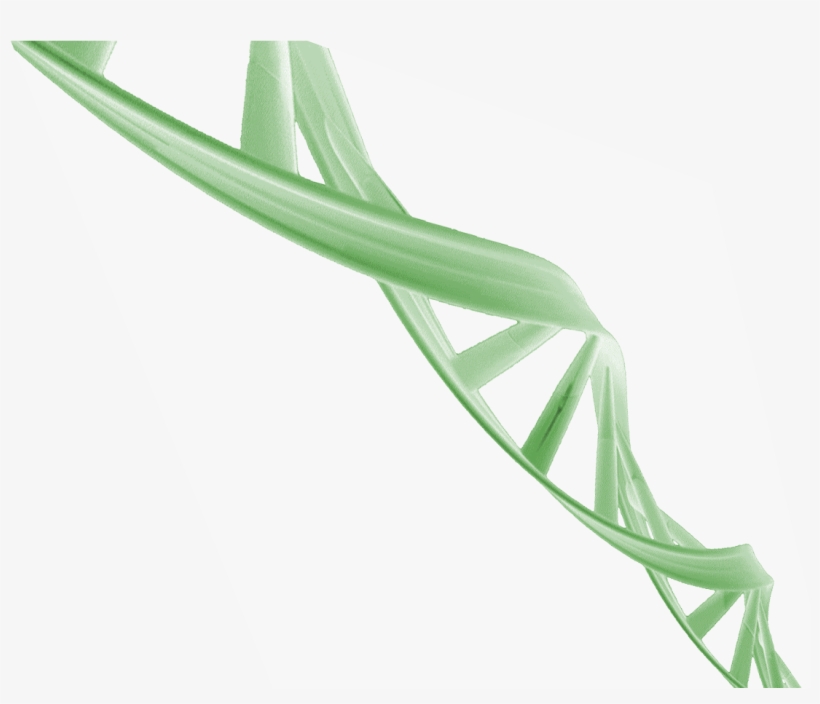 Bg - Balloon, transparent png #8485414