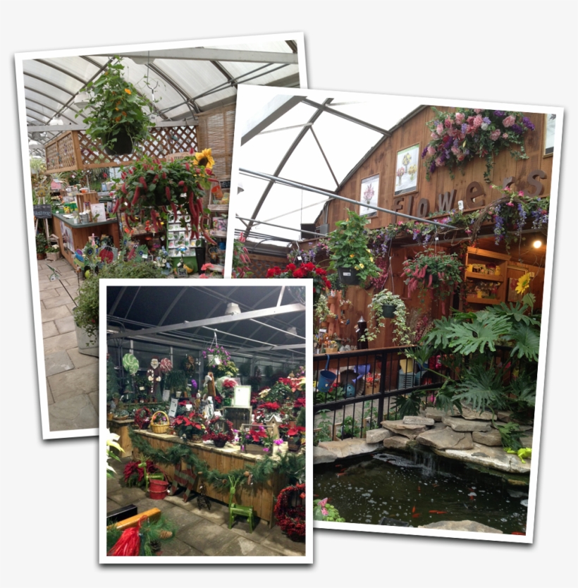 Gift Items And Much More - Greenhouse, transparent png #8485793