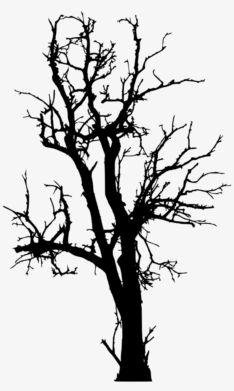 924 X 1500 7 - Dead Tree Silhouette Png, transparent png #8485977