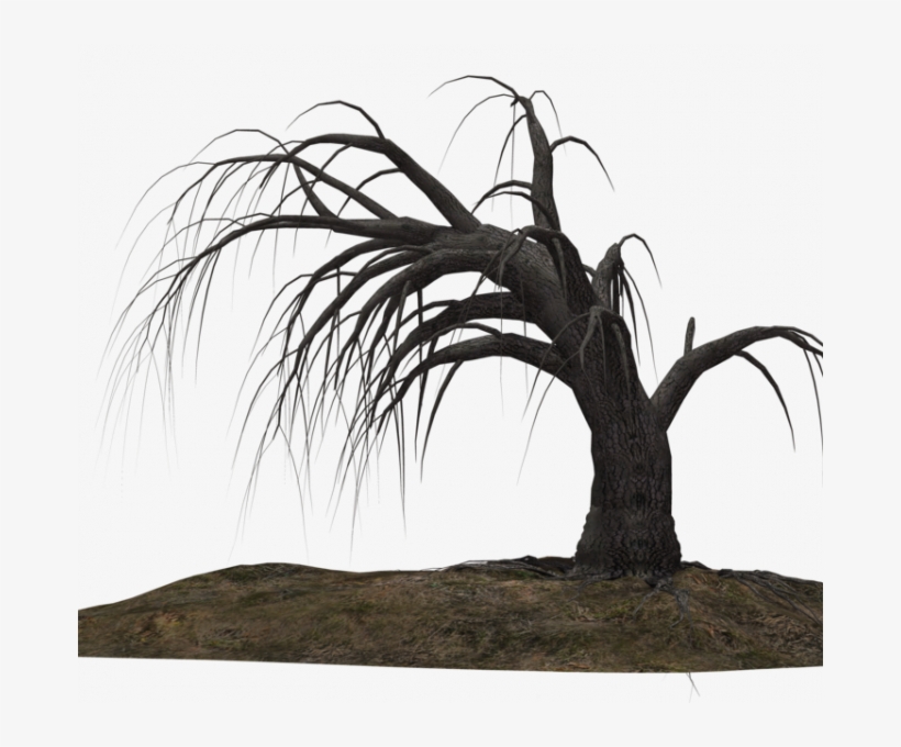 Dead Tree - Dead Trees Drawing Png, transparent png #8486017