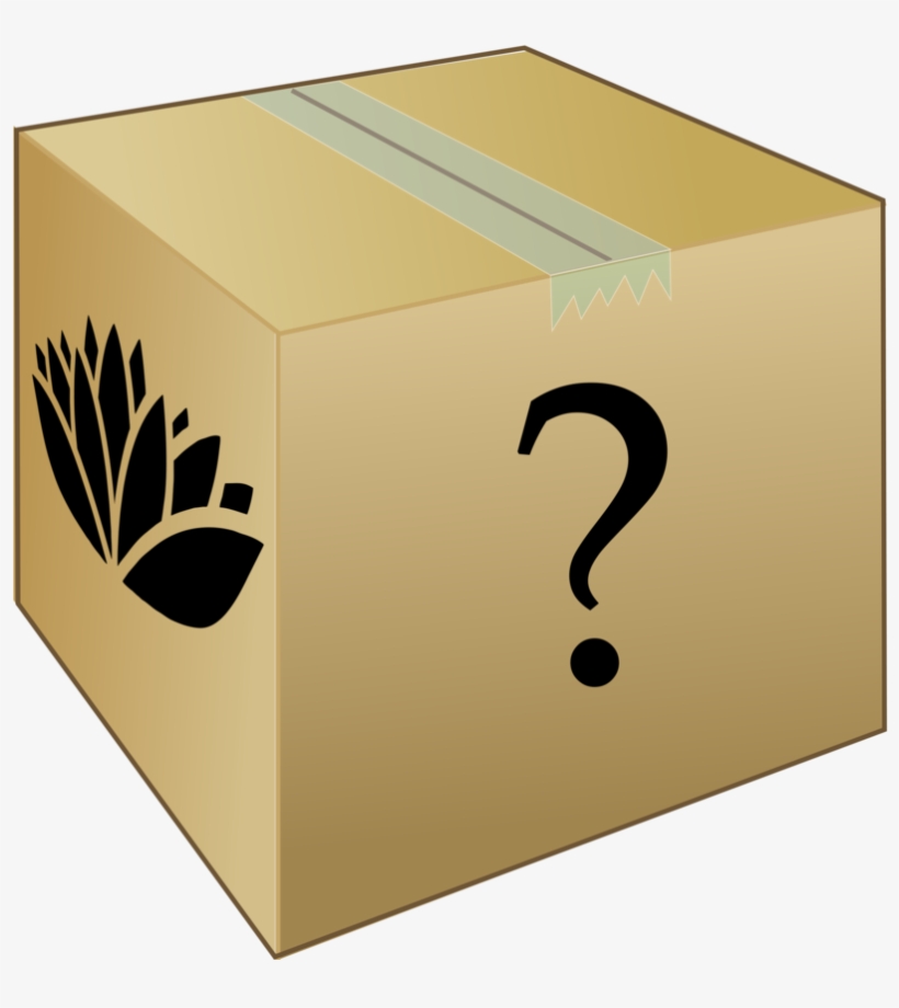 Eunoian Mystery Box - Box, transparent png #8486786