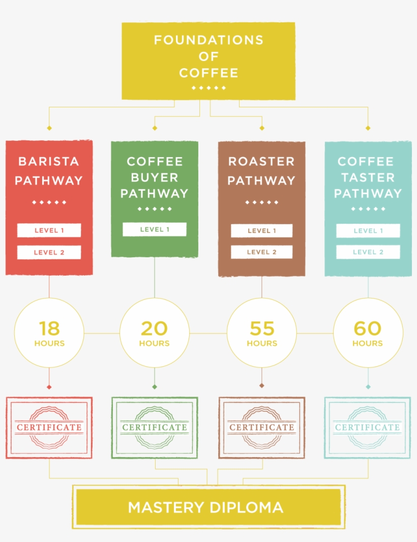 From Other Graduates - Scaa Specialty Coffee, transparent png #8487154