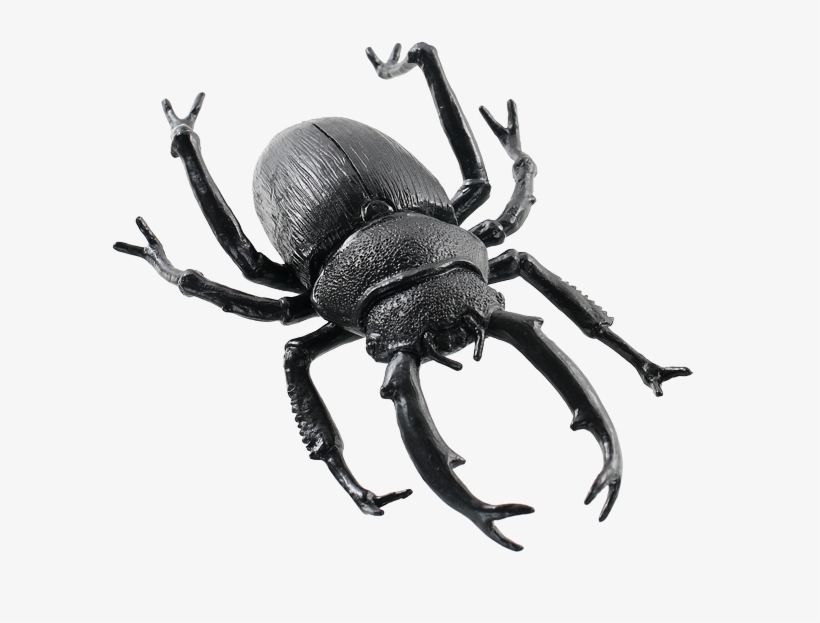 Black Beetle Transparent Images Png - Dung Beetle, transparent png #8490494