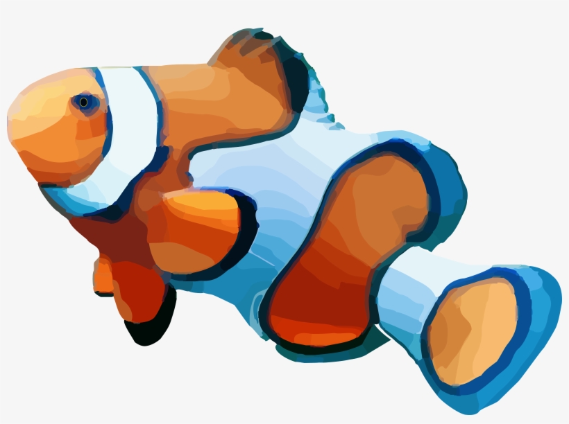 Big Image - Clownfish Transparent Background, transparent png #8490505