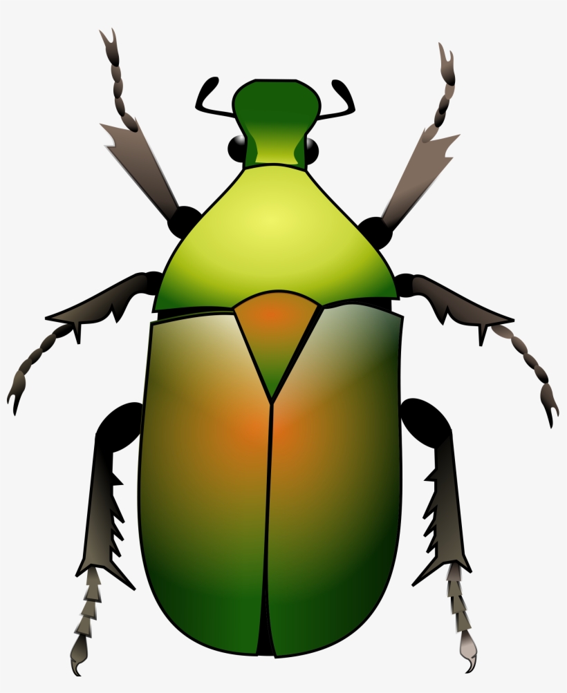 Open - Beetle Svg, transparent png #8490580