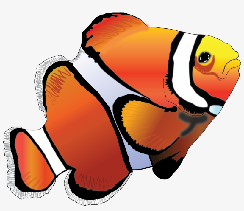 Clown Fish, transparent png #8490751