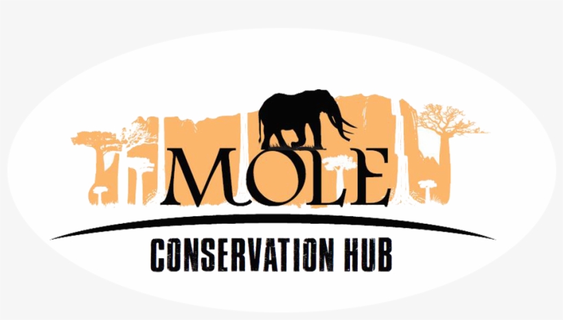 Label, transparent png #8491051