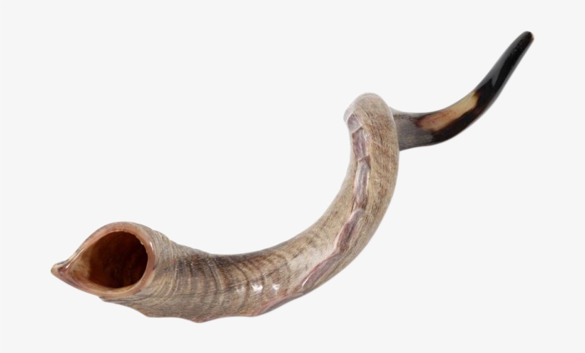 Shofar Light Color - Shofar, transparent png #8492540