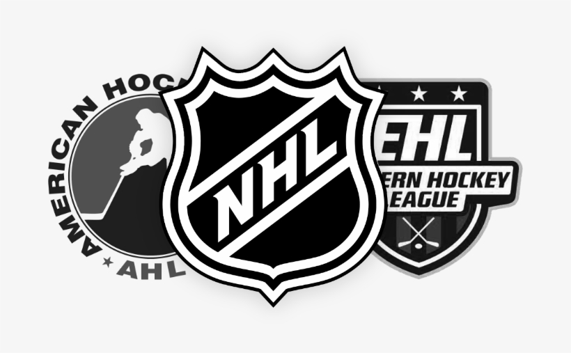 Study With Professional Hockey Players & Coaches - Nhl Pumpkin Carving Stencil, transparent png #8494733
