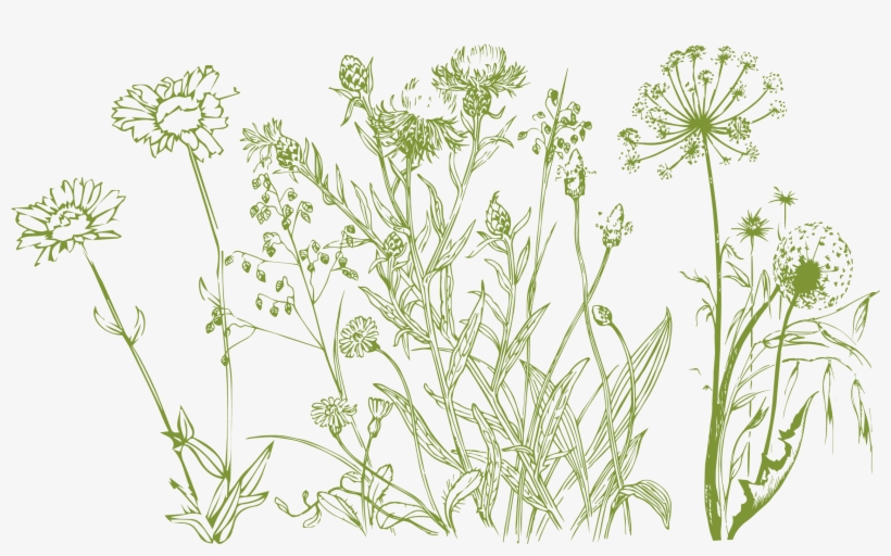 2322 X 1325 1 - Buttercup, transparent png #8496600