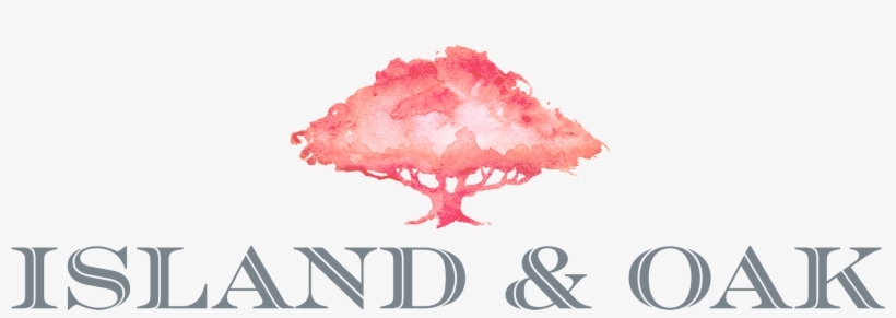 Island And Oaks - Conch, transparent png #8497509