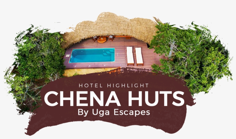 Hotel Highlight Chena Huts By Uga Escapes - Tree, transparent png #8497532