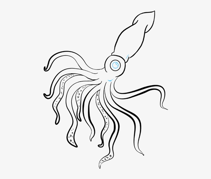 How To Draw A Really Easy Tutorial - Squid Drawing, transparent png #8497783