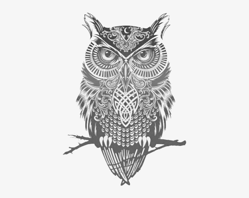 Panda Vaidosa - Owl Art Black And White, transparent png #851181