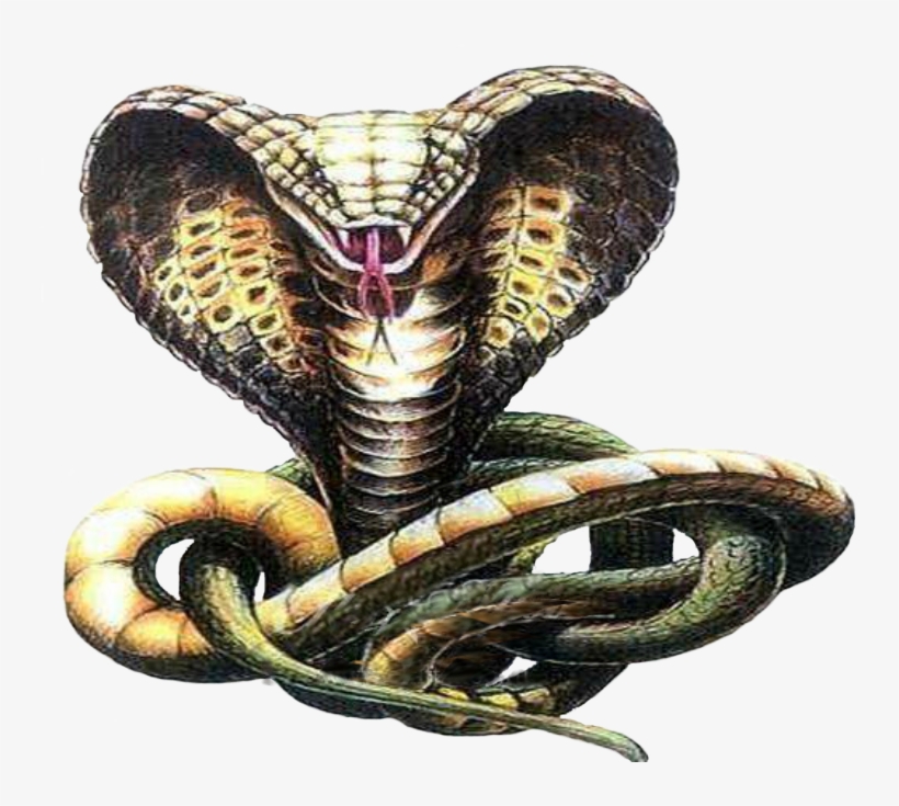 Cobra art картины