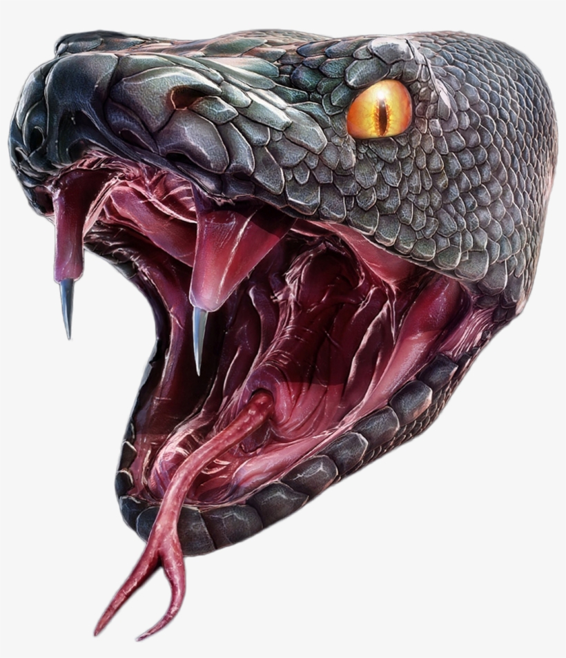 Snake Head Png - Snake Photoshop, transparent png #851383