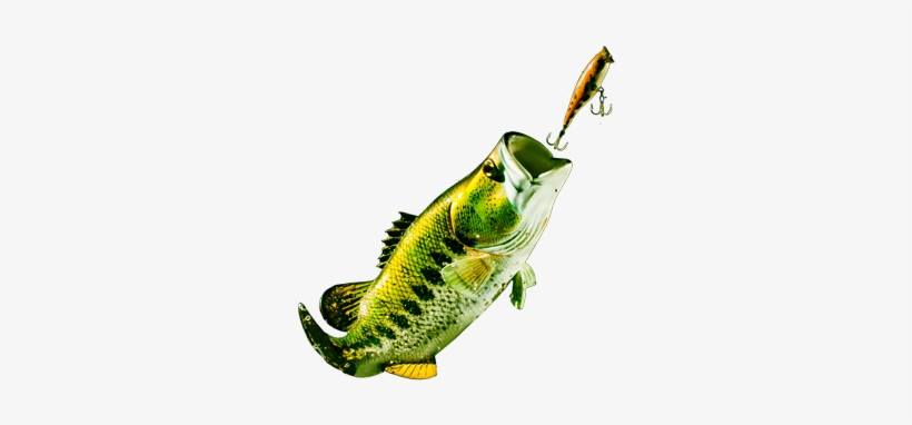 Masters Of Bass - Bass Fishing Youtube Logo, transparent png #851436