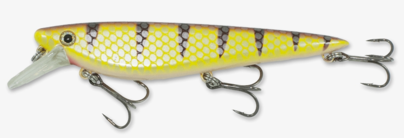 Walleye - Fishing, transparent png #851881