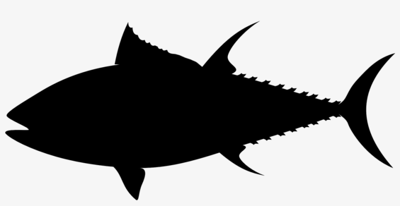 Fish Silhouette Free Vector Graphic On Pixabay - Tuna Clip Art, transparent png #851954