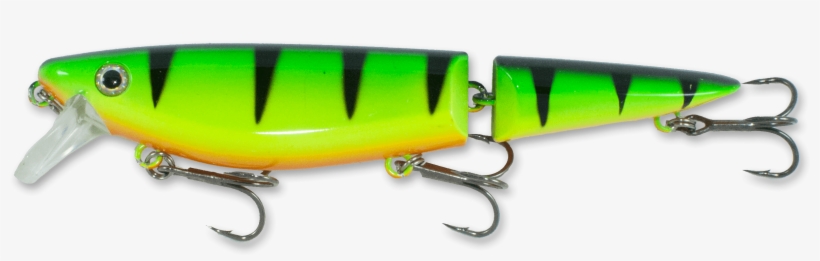 Fire Tiger - Fish Hook, transparent png #852201