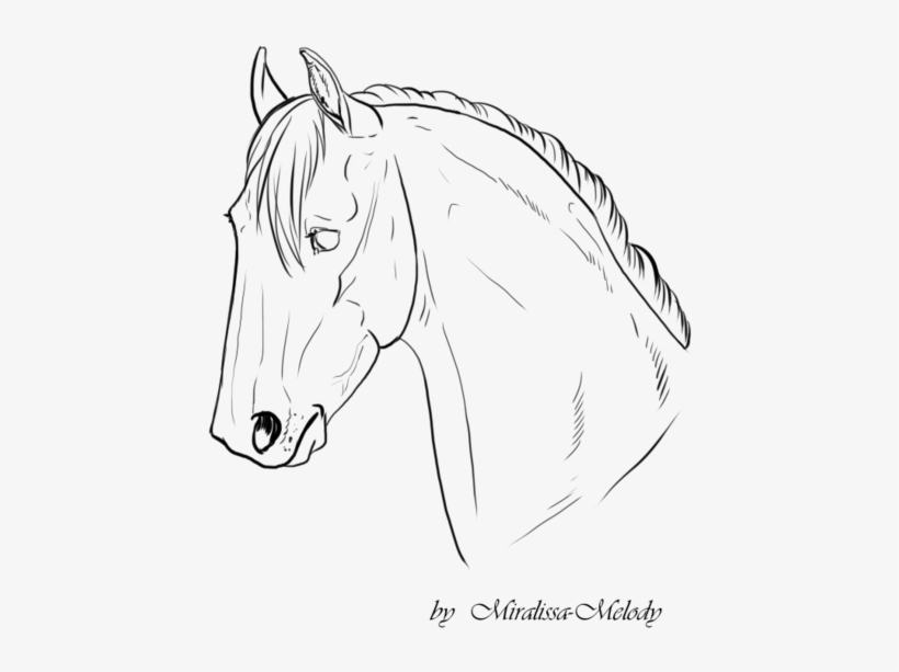 Horse Head Line Drawing At Getdrawings - Horse, transparent png #852297