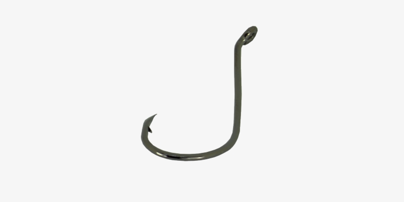 Click On Image To Zoom - Eel, transparent png #852388