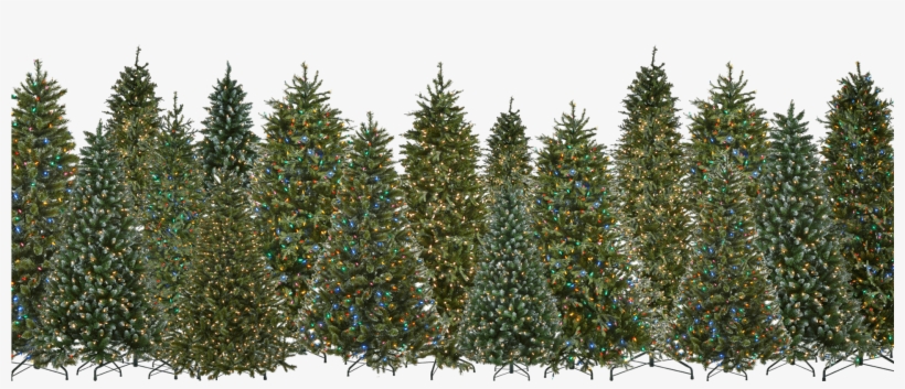 Pre-lit Led Artificial Christmas Trees Are Our Specialty - 9' Cascade Fir With Clear Led Lights, transparent png #852599