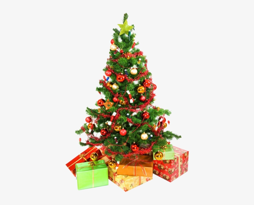 Christmas Tree Png Images Png Images - Christmas Tree Wall Paper, transparent png #852823