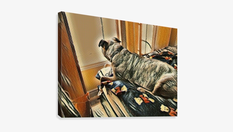 56 Cute Adorable Puppy Dog Domestic Purebred Breed - Boxer, transparent png #853280