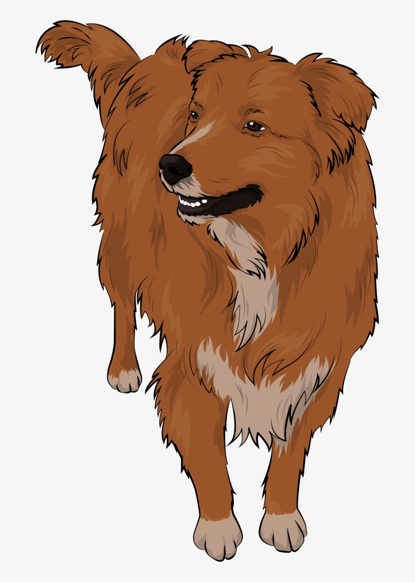 Draw A Cute Pet Cartoon Portrait From Your Photo - German Spitz, transparent png #853314